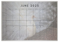 2025 Cooberrie Park Animals Wall Calendar