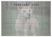 2025 Cooberrie Park Animals Wall Calendar