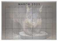2025 Cooberrie Park Animals Wall Calendar