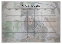 2025 Cooberrie Park Animals Wall Calendar