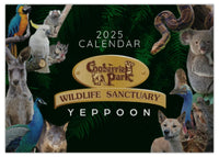 2025 Cooberrie Park Animals Wall Calendar