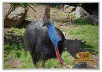 2025 Cooberrie Park Animals Wall Calendar