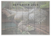 2025 Cooberrie Park Animals Wall Calendar