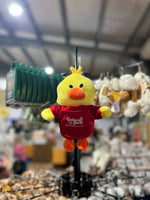 Cooberrie Park and Dinosaur Park Soft Toys