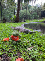 Cooberrie Park and Dinosaur Park Soft Toys