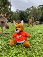 Cooberrie Park and Dinosaur Park Soft Toys