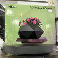 Levitating Bonsai Pot