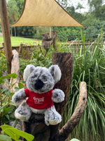 Cooberrie Park and Dinosaur Park Soft Toys