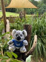 Cooberrie Park and Dinosaur Park Soft Toys