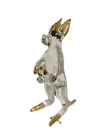 Cooberrie Park Glass Animals