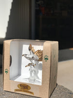 Cooberrie Park Glass Animals