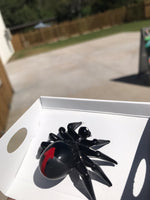 Cooberrie Park Glass Animals