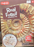 
              Fossil Dig
            