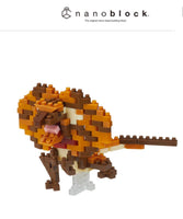 
              nanoblock
            