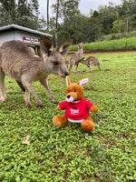 
              Cooberrie Park and Dinosaur Park Soft Toys
            