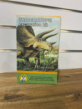 Dinosaur excavation kit