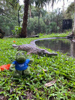 
              Cooberrie Park Crocodile
            