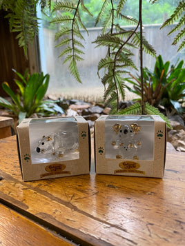 Cooberrie Park Glass Animals